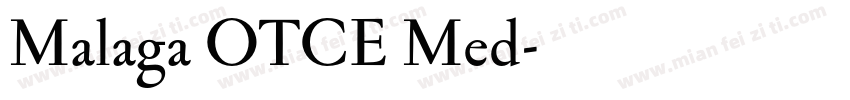 Malaga OTCE Med字体转换